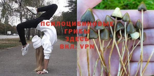 ALPHA PVP Володарск