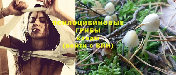 таблы Верхний Тагил